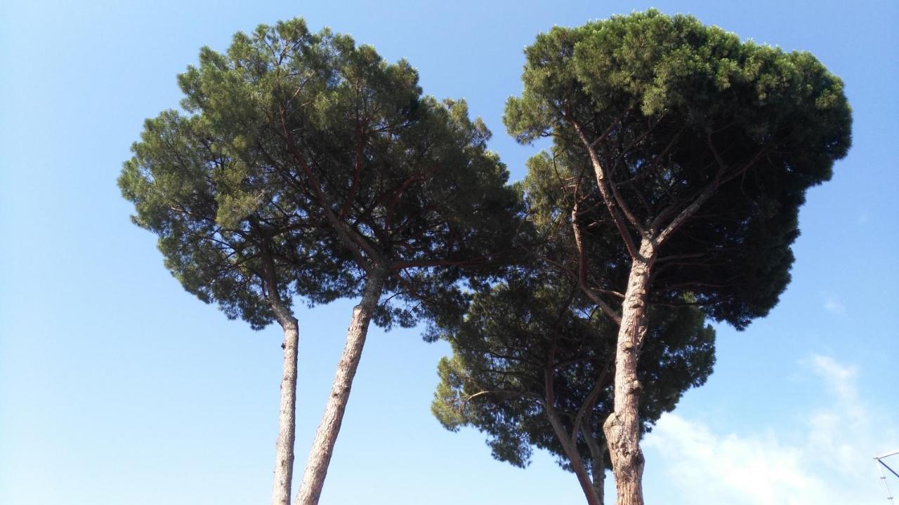 Apartamento Piccolo Nido