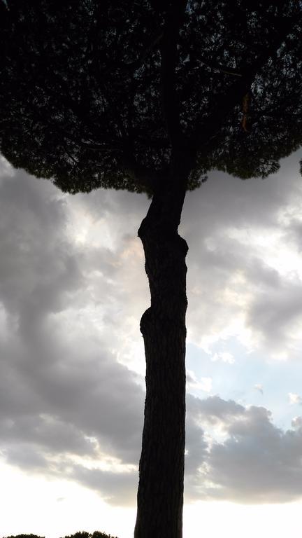 Appartamento Piccolo Nido *